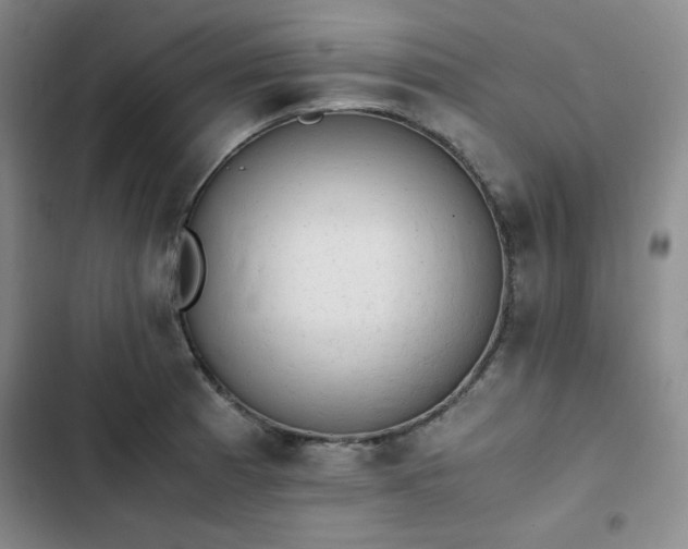 X0000102861185200808251219