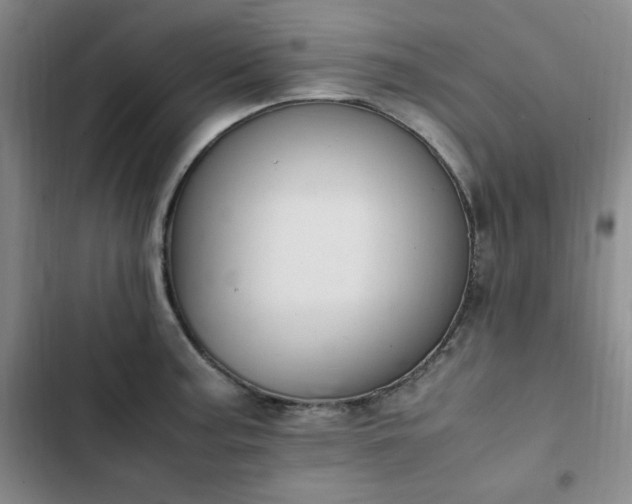 X0000102861187200808251219