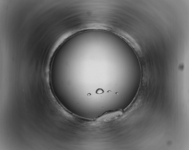 X0000102861188200808251219