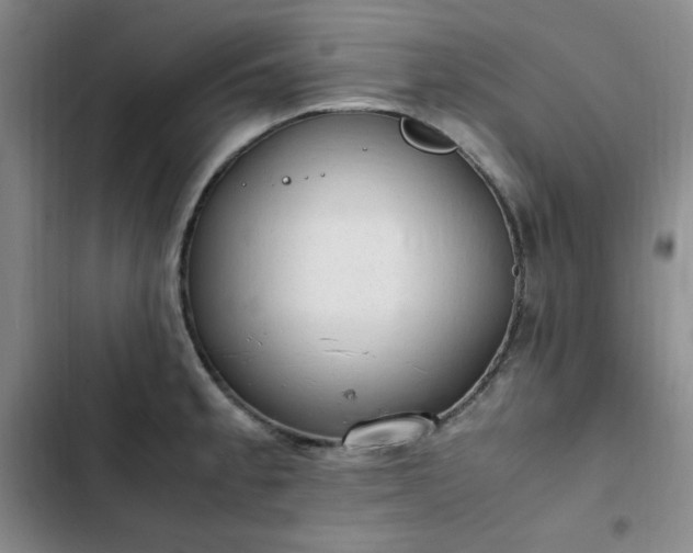 X0000102861189200808251219