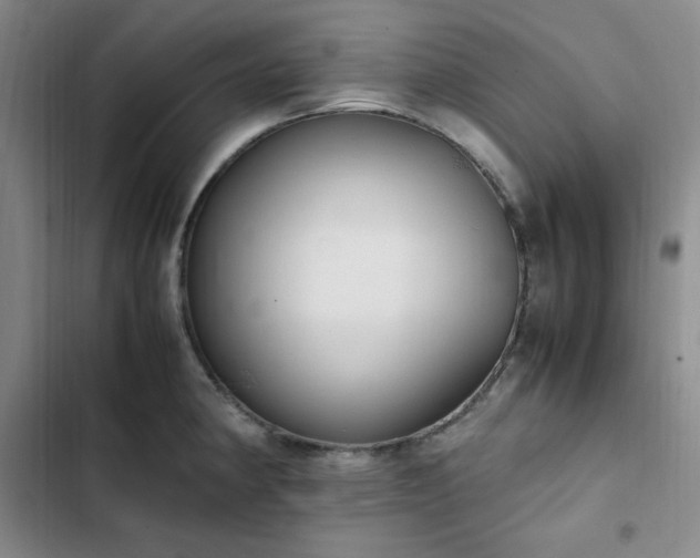 X0000102861190200808251219