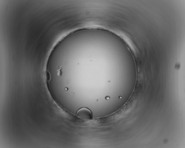 X0000102861191200808251219