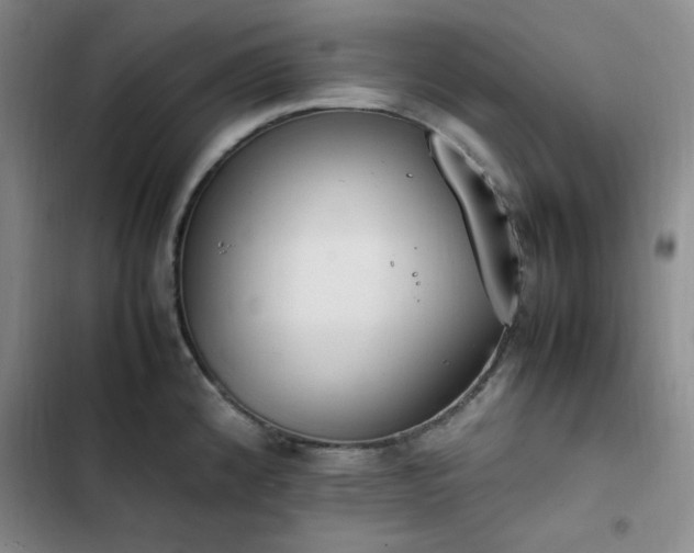 X0000102861192200808251219