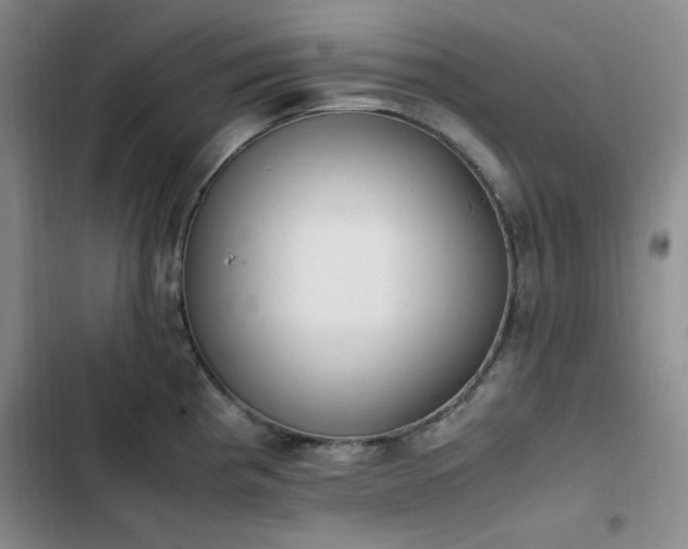 X0000102861193200808251219