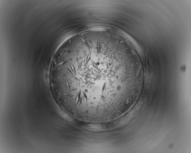 X0000102861194200808251219