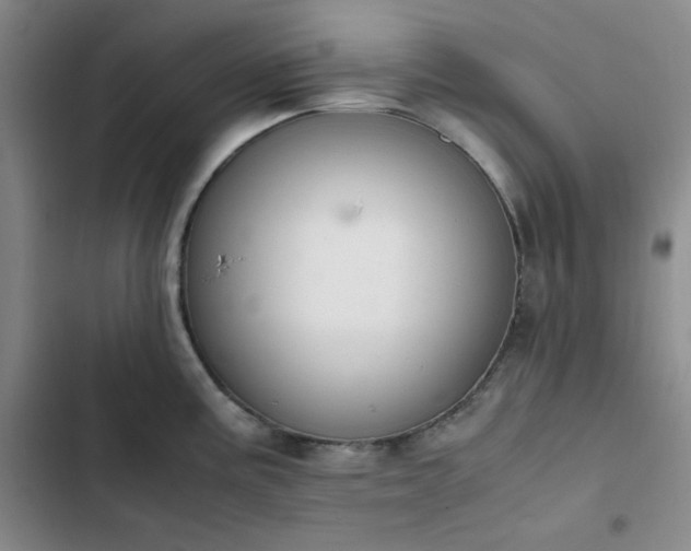 X0000102861195200808251219