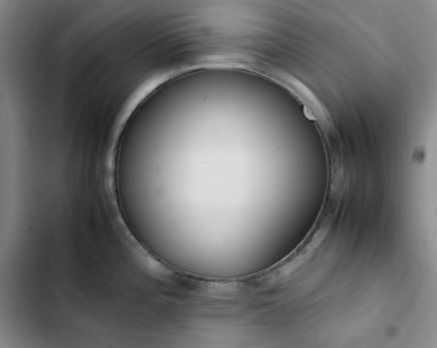 X0000102861196200808251219