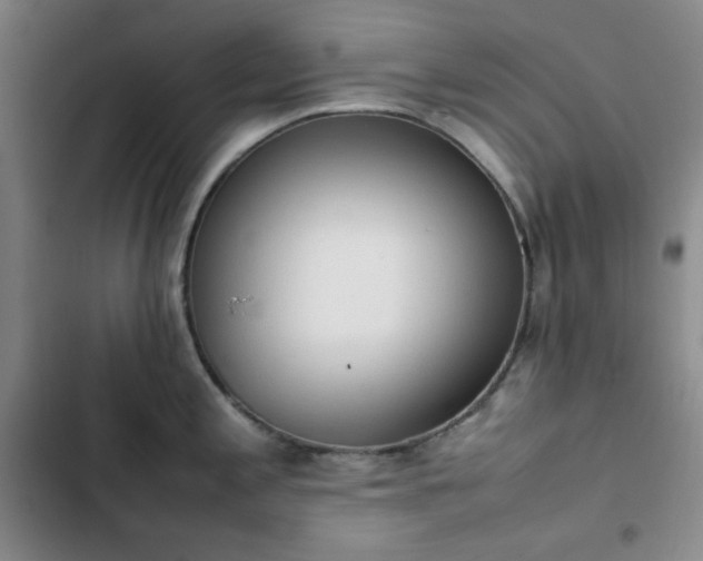 X0000102861197200808251219