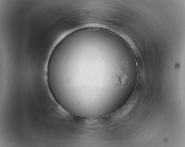 X0000102861199200808251219