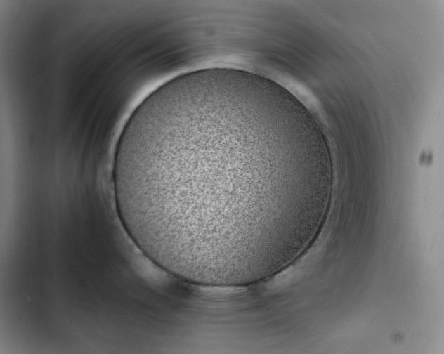 X0000102861200200808251219