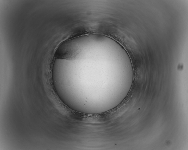 X0000102861201200808251218