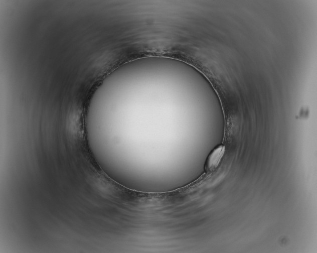 X0000102861202200808251218