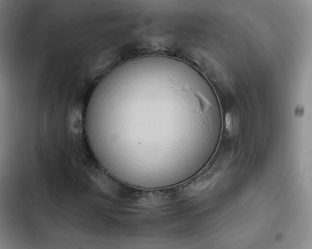 X0000102861203200808251218