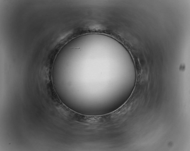 X0000102861205200808251218