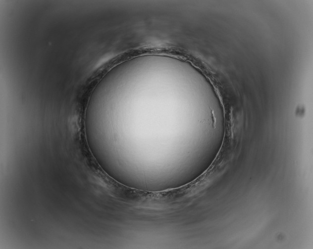 X0000102861206200808251218