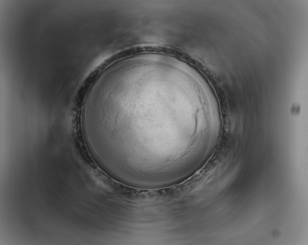 X0000102861208200808251218