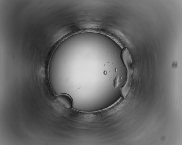 X0000102861209200808251218