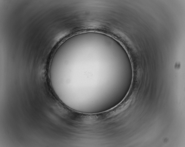 X0000102861210200808251218