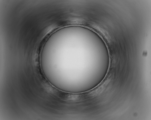 X0000102861211200808251218