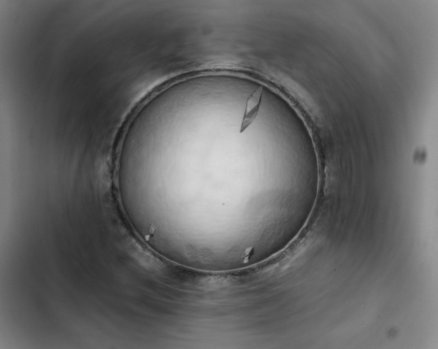 X0000102861212200808251218