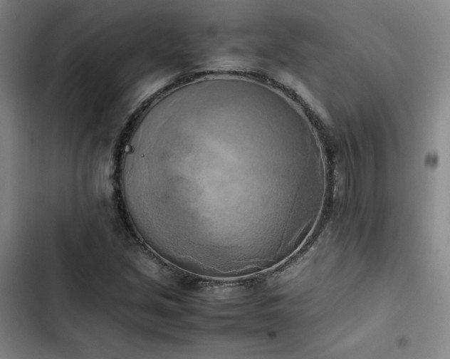 X0000102861213200808251218