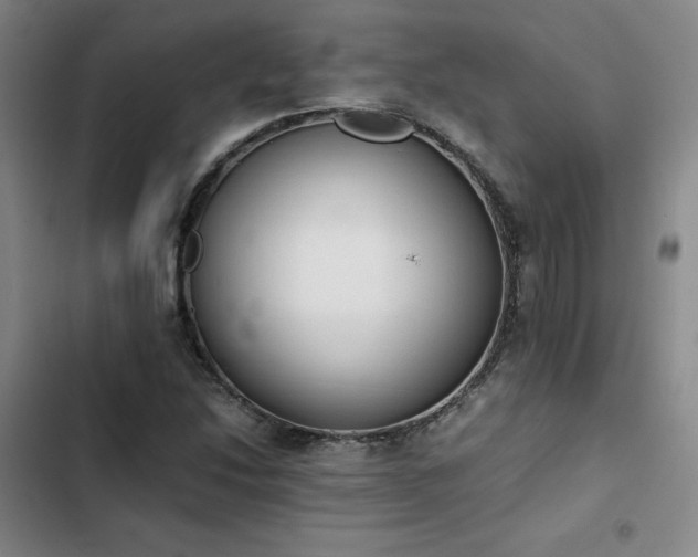 X0000102861214200808251218