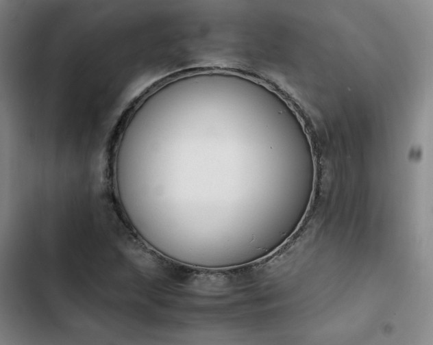 X0000102861215200808251218