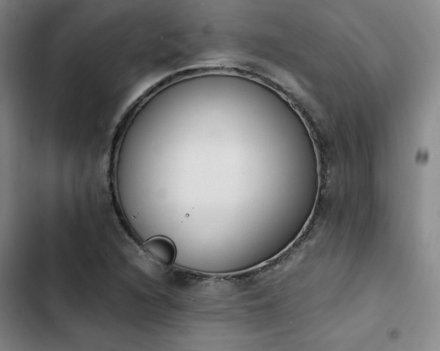 X0000102861216200808251218