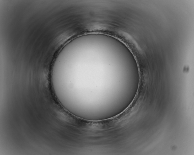 X0000102861217200808251218