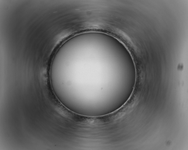 X0000102861218200808251218