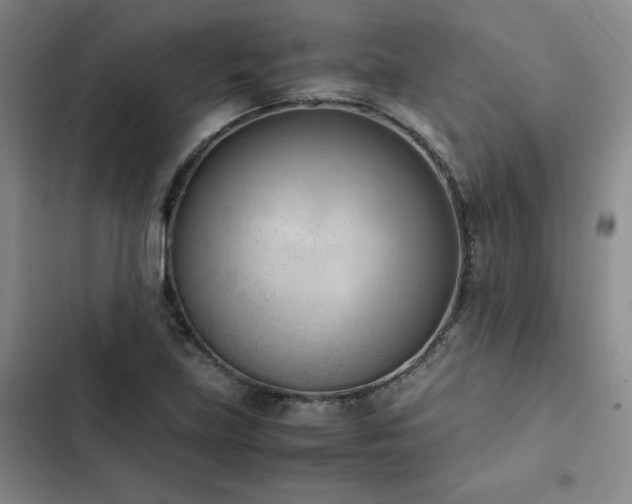 X0000102861219200808251218