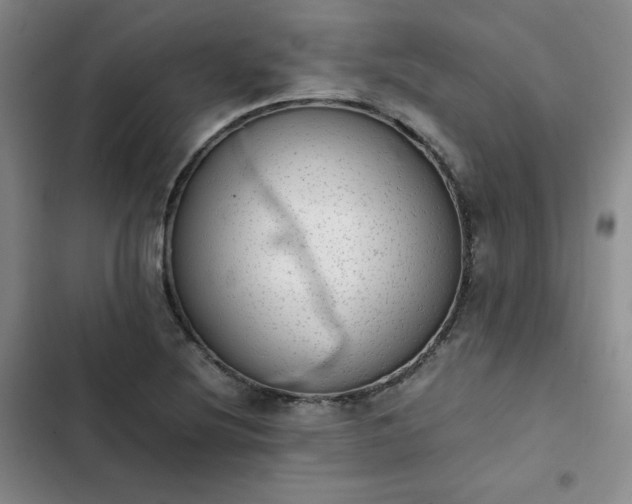 X0000102861220200808251218