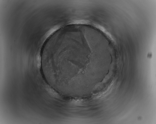 X0000102861221200808251218