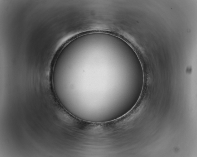 X0000102861222200808251218