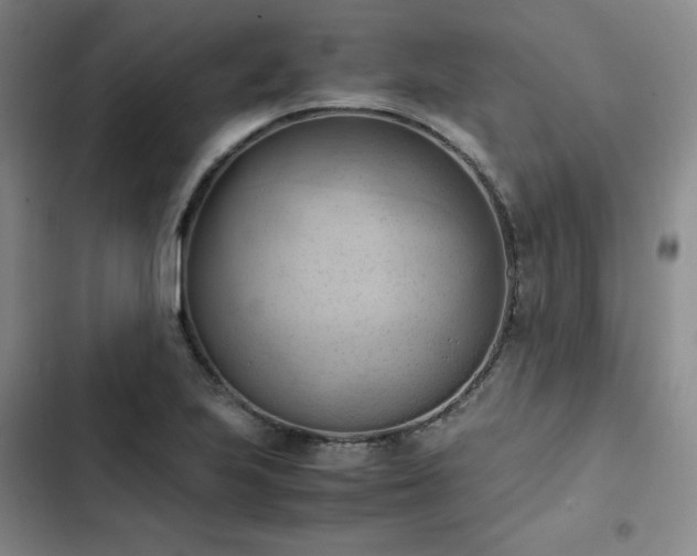 X0000102861223200808251218