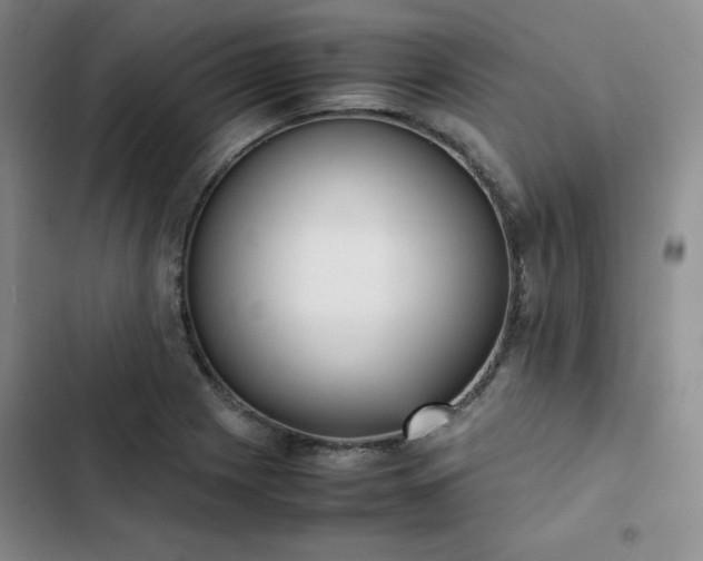 X0000102861225200808251218