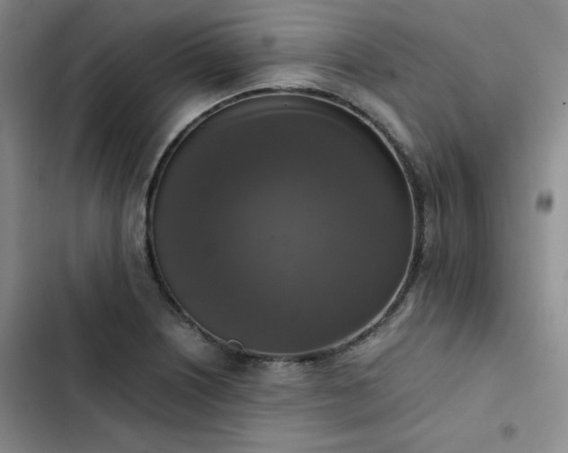 X0000102861226200808251218