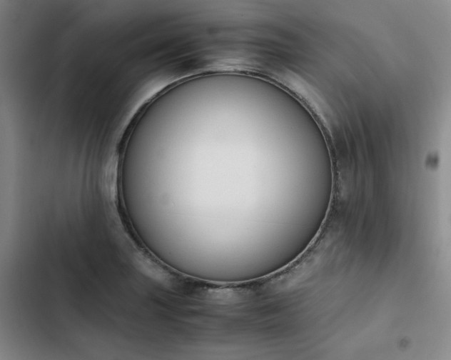 X0000102861227200808251218