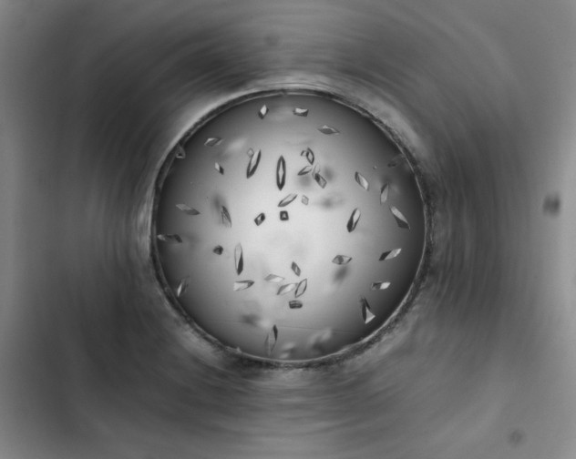 X0000102861228200808251218