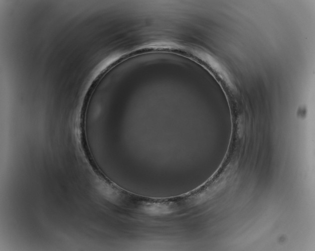 X0000102861229200808251218