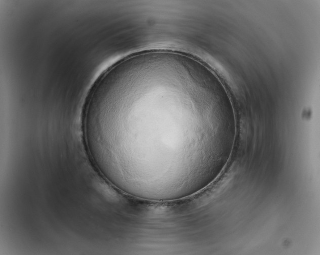 X0000102861230200808251218