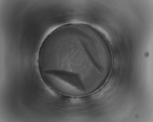 X0000102861231200808251218