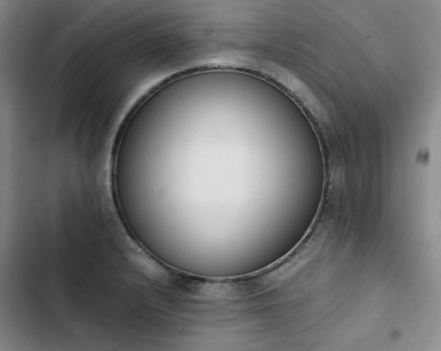 X0000102861232200808251218