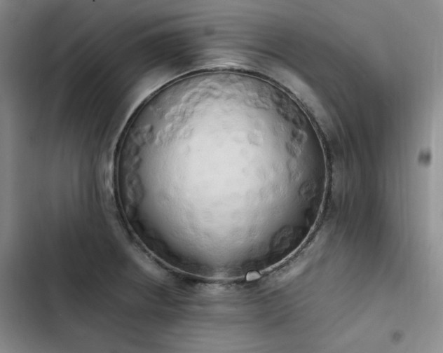 X0000102861234200808251218