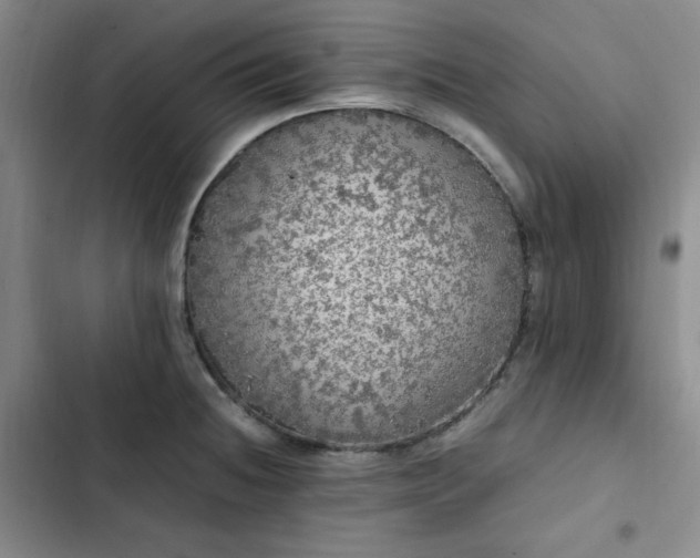 X0000102861236200808251218