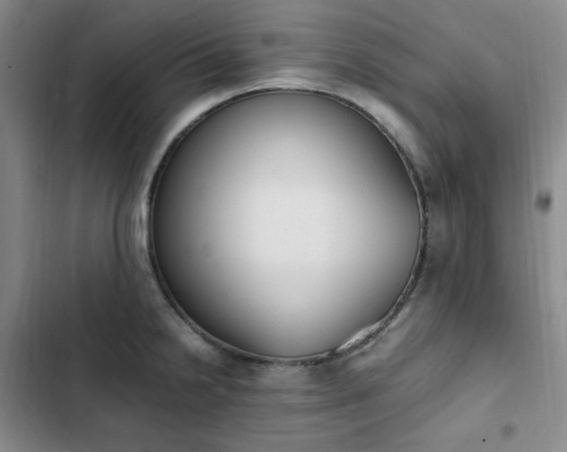 X0000102861238200808251218