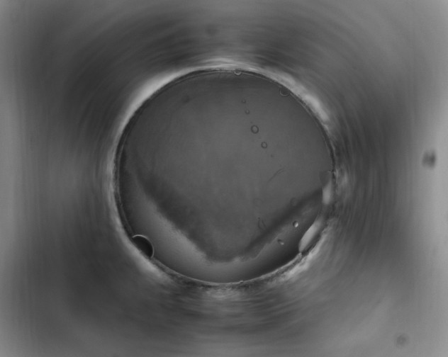 X0000102861239200808251218