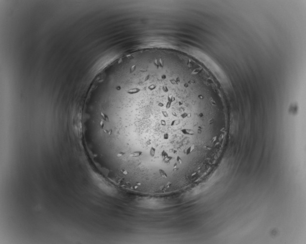 X0000102861241200808251218
