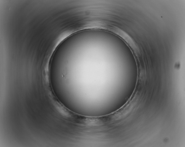 X0000102861242200808251218