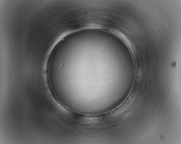 X0000102861243200808251218